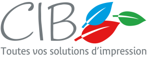 logo CIB 2021